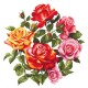 AN 10674 Tapisserie Aïda - Roses II