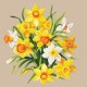 Z 10672 Cross stitch kit - Narcissus II