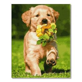 PC4050743 Painting by numbers - Dog with a flower