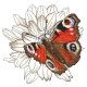 W 10330 Σχέδιο Cross Stitch PDF - Butterfly και Dahlia Flower
