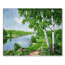 PC4050655 Painting by numbers - Birches by the river