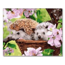 PC4050626 Painting by numbers - Hedgehogs in a basket