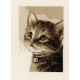 VPN-0158081 Cross stitch kit - Kitten