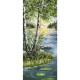 Um 10468 Tapestry Aida - Birches de verão