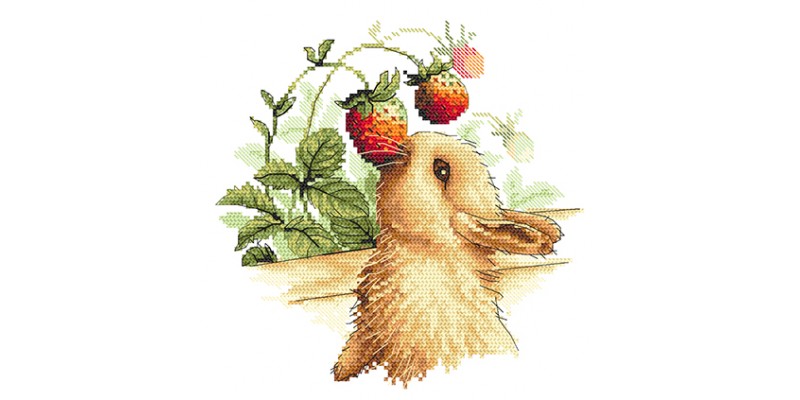 rabbits